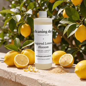 Sugared Lemon Blossom